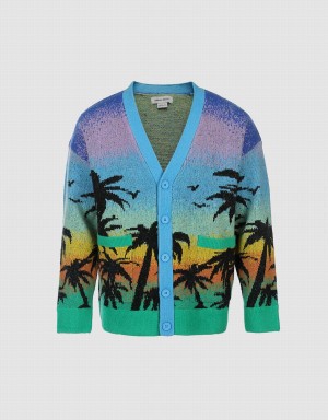 Blue Multicolor Men's Urban Revivo Tropical Pattern Knitted Cardigan | XPN3242OF