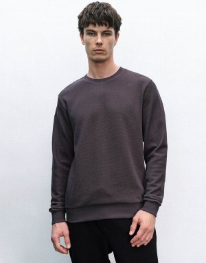 Dark Grey Men's Urban Revivo Crew Neck Straight Sweatshirts | IOI7249AN