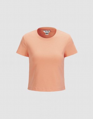 Light Orange Women's Urban Revivo Basic Fitted T Shirts | PWF5725WD