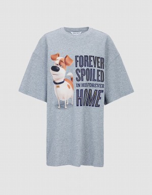 Yellow Women's Urban Revivo The Secret Life Of Pets Oversized T Shirts | FHF10066ES